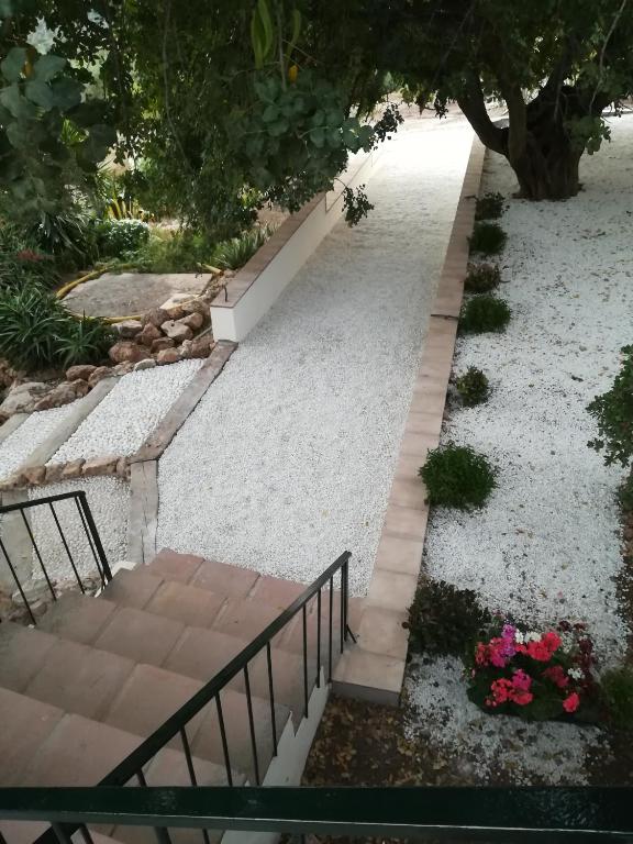 Zahrada ubytování Olive Branch El Chorro