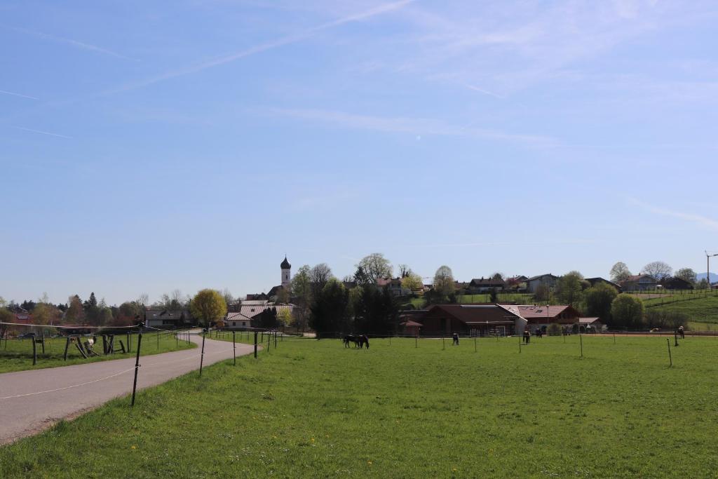 a park with a grass field and a road at Ferienwohnung Pferdehof Pankratz in Iffeldorf