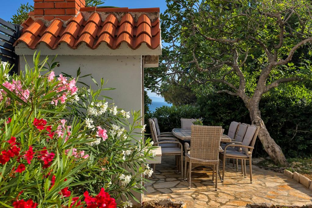 Zahrada ubytování Villa Zagradina