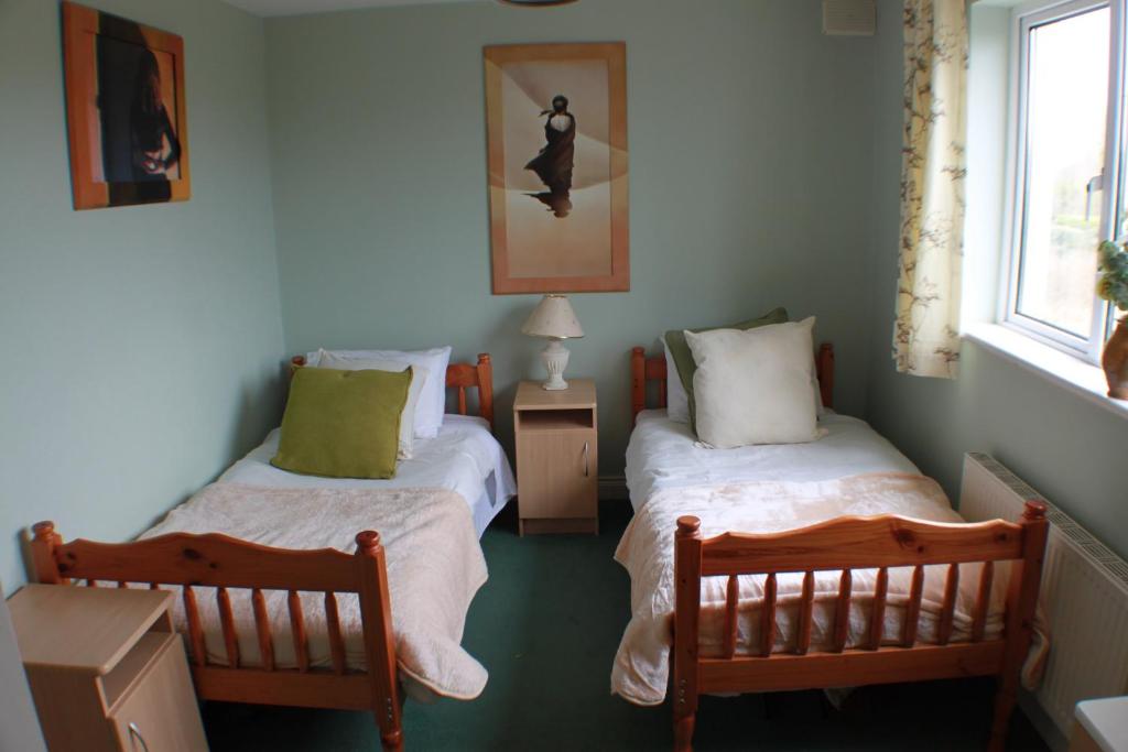 1 dormitorio con 2 camas y ventana en Deerpark B&B, en Portumna