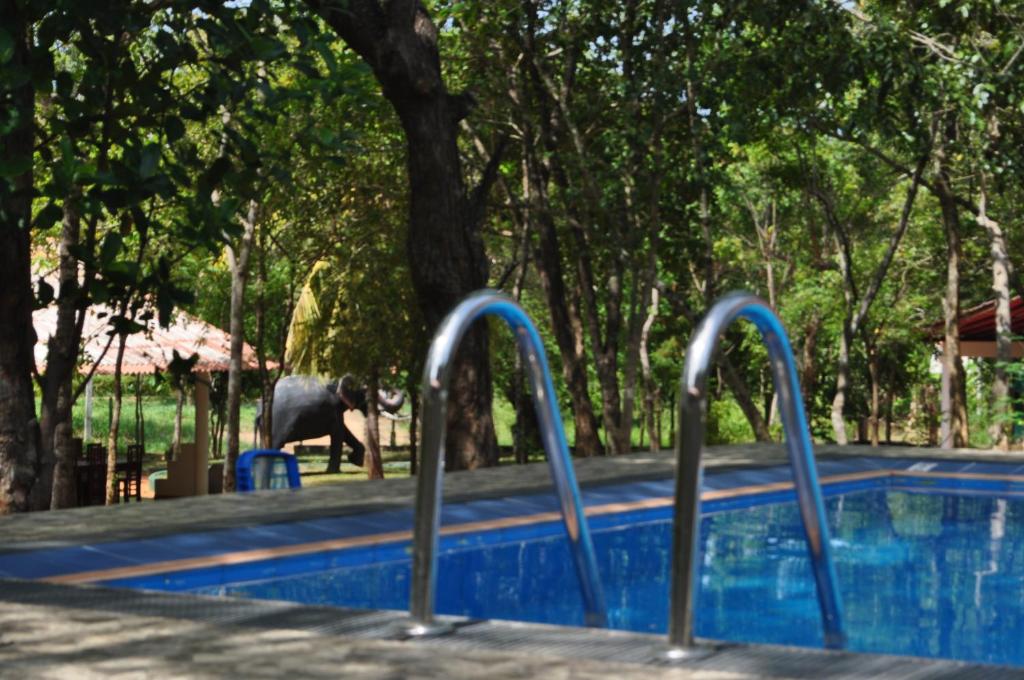 Bazén v ubytování Vaana Resort nebo v jeho okolí