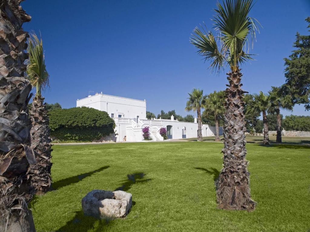 een palmboom en een rots in een grasveld bij Masseria Eccellenza in Pezze di Greco