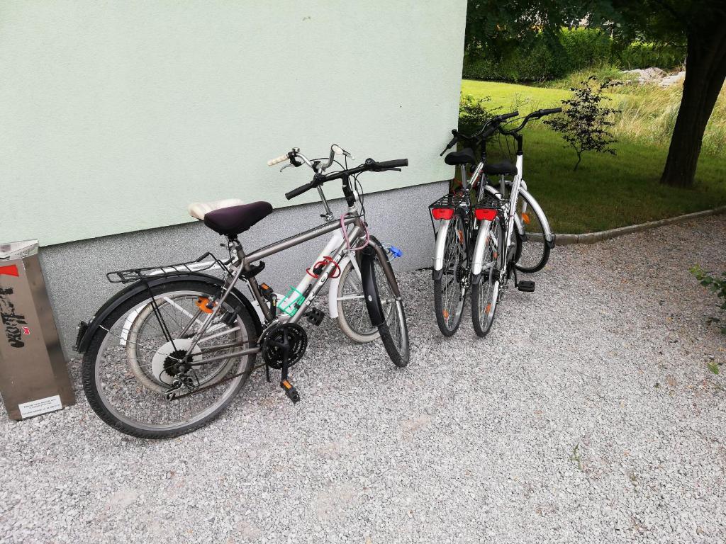 Jízda na kole v ubytování ALL SEASONS - HOSTEL nebo okolí