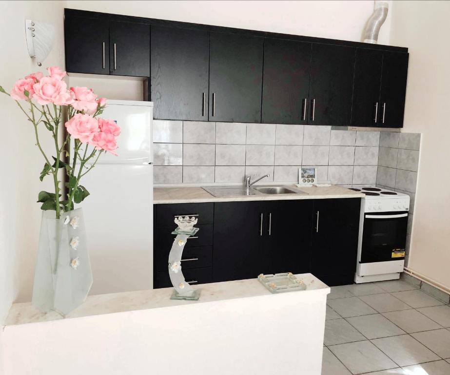 Kuchyň nebo kuchyňský kout v ubytování Anastasia’s Home