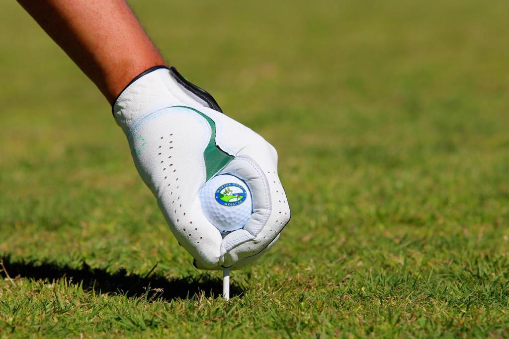 Golf v apartmánu nebo okolí
