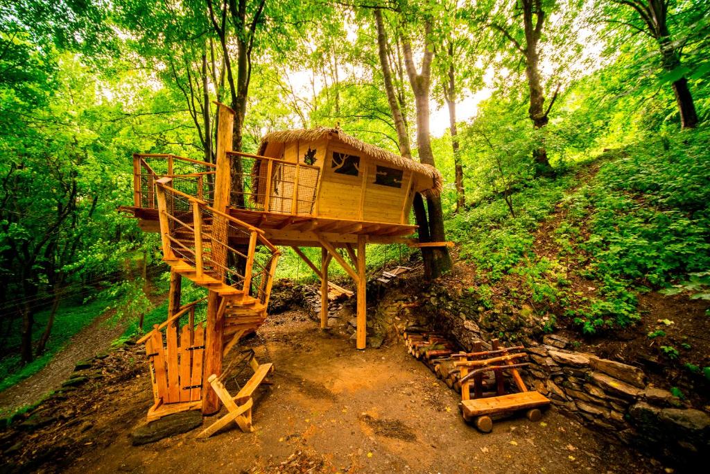 Světlá pod JeštědemTreehouse pod Jestedem的森林中间的树屋