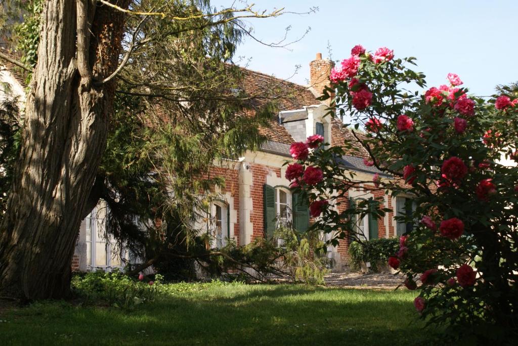 Zahrada ubytování Le Béguinage