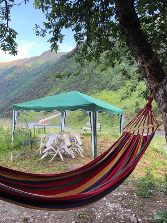 a hammock under a tree with a tent at Pirikiti in Akhmety