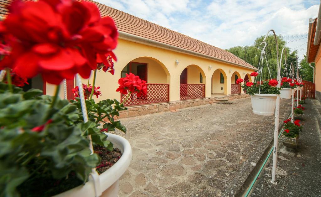Zahrada ubytování Fűzfa Vendégház