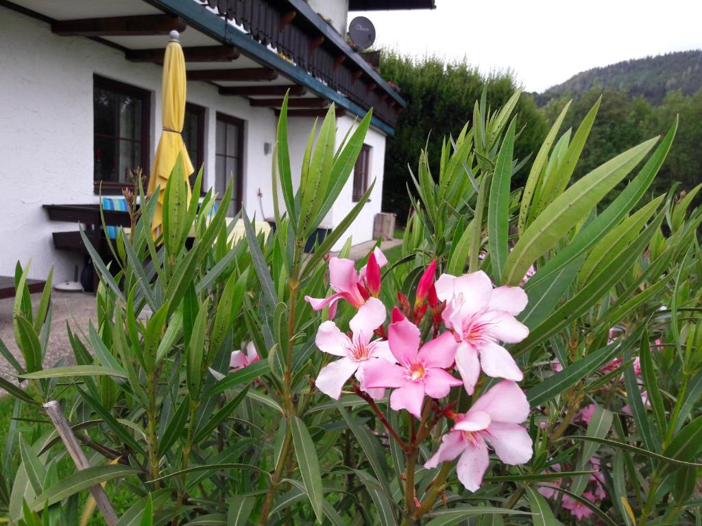 Vonkajšia záhrada v ubytovaní Garten Apartment Diwoky