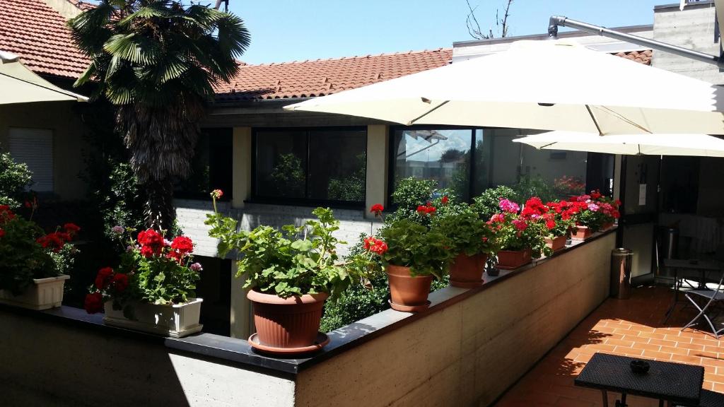 une rangée de plantes en pot sur un mur avec un parapluie dans l'établissement Flying Hotel, à San Maurizio Canavese