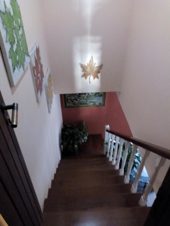  Casa Flor de liz