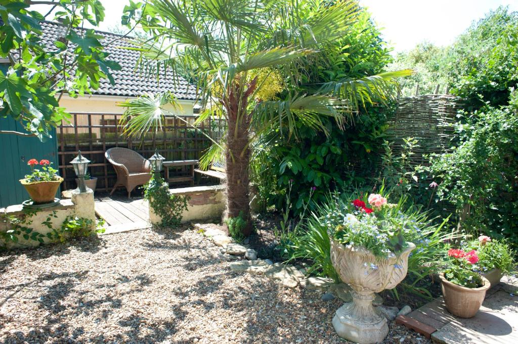 a garden with a palm tree and a table and chairs at Little Chequers in Friston