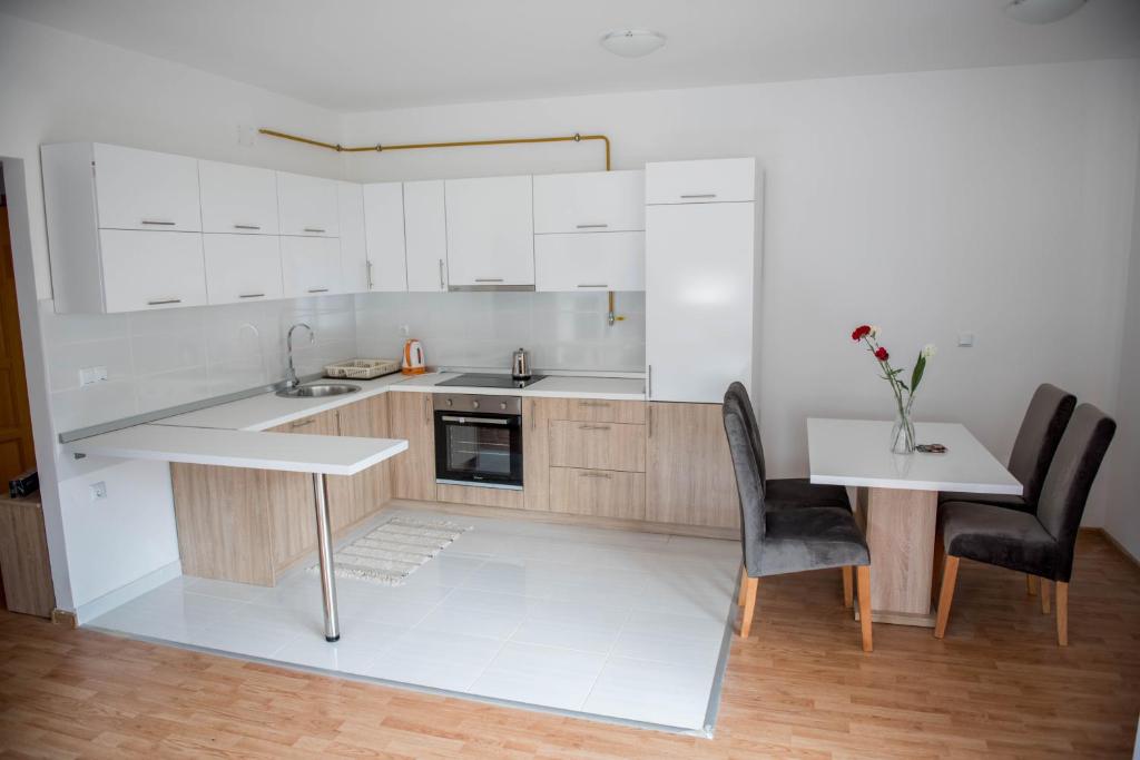 Kuchyň nebo kuchyňský kout v ubytování Leader apartment