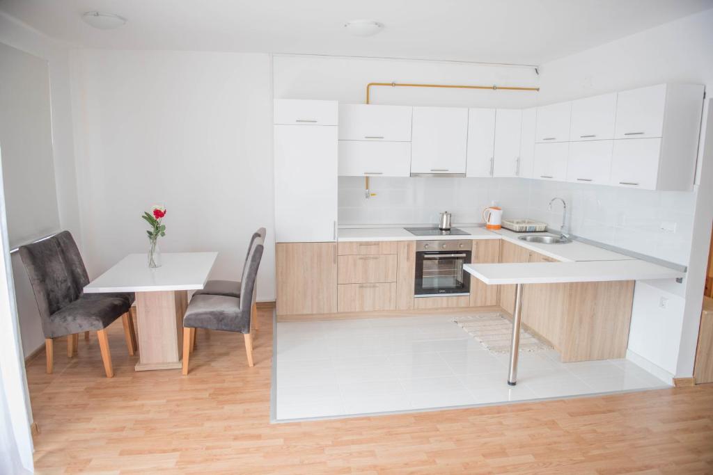 Kuchyň nebo kuchyňský kout v ubytování Leader apartment