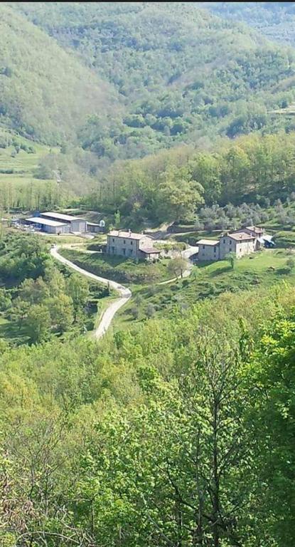 Príroda v okolí farmy