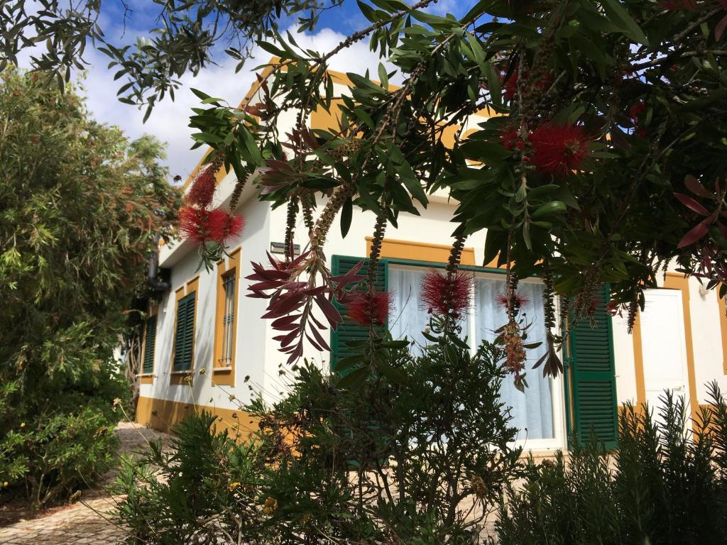 ラゴスにあるCasa Guerreiroの緑黄の襖と木のある家