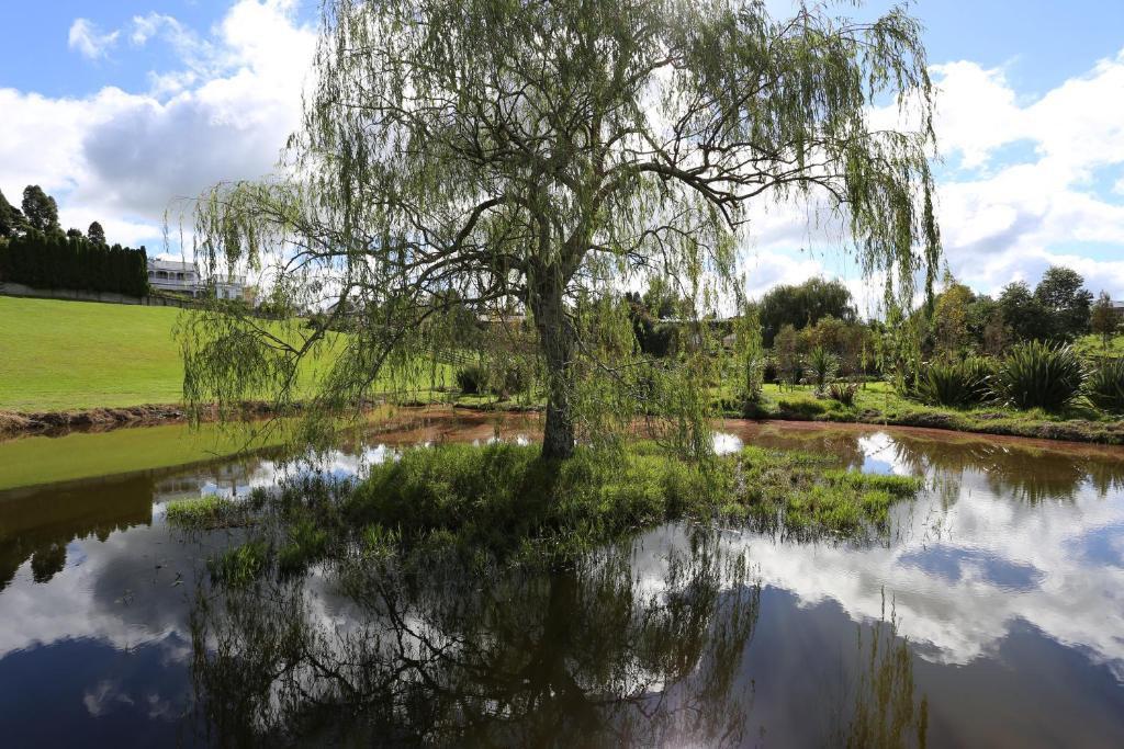 Maungakawa Villa - Resim 12