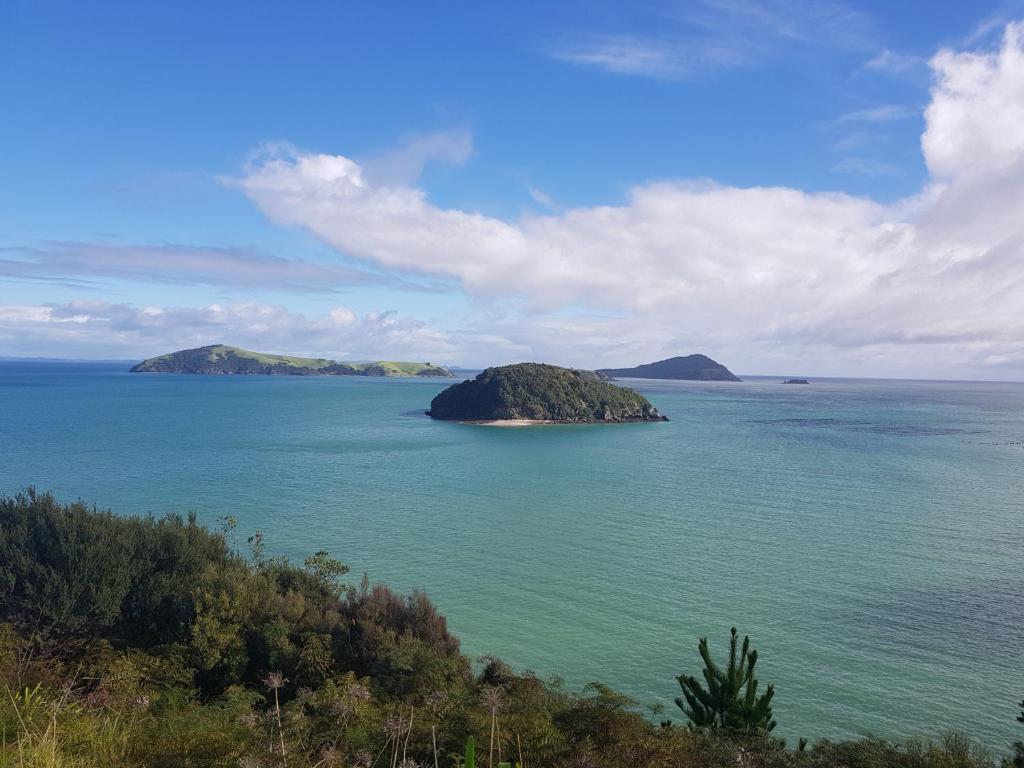 Coromandel Cottages - Resim 36