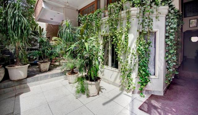une pièce remplie de nombreuses plantes dans un bâtiment dans l'établissement Nu Delhi Homestay, à New Delhi