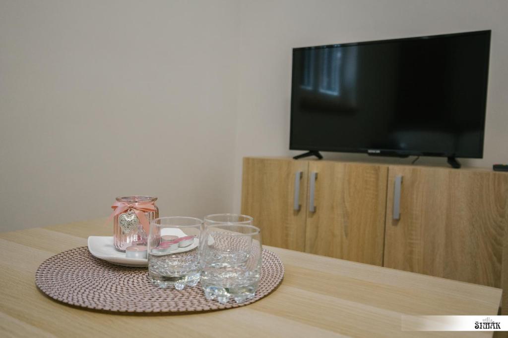 TV a/nebo společenská místnost v ubytování Villa Šimák