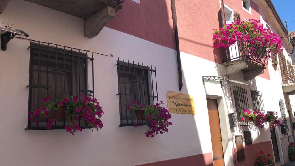 un edificio con cajas de flores en su lado en La Casa del Colonnello en Vercelli