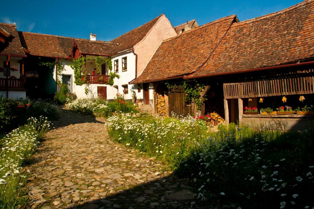 un grupo de casas con flores en un patio en Casa cu zorele, Crit 189 en Criţ