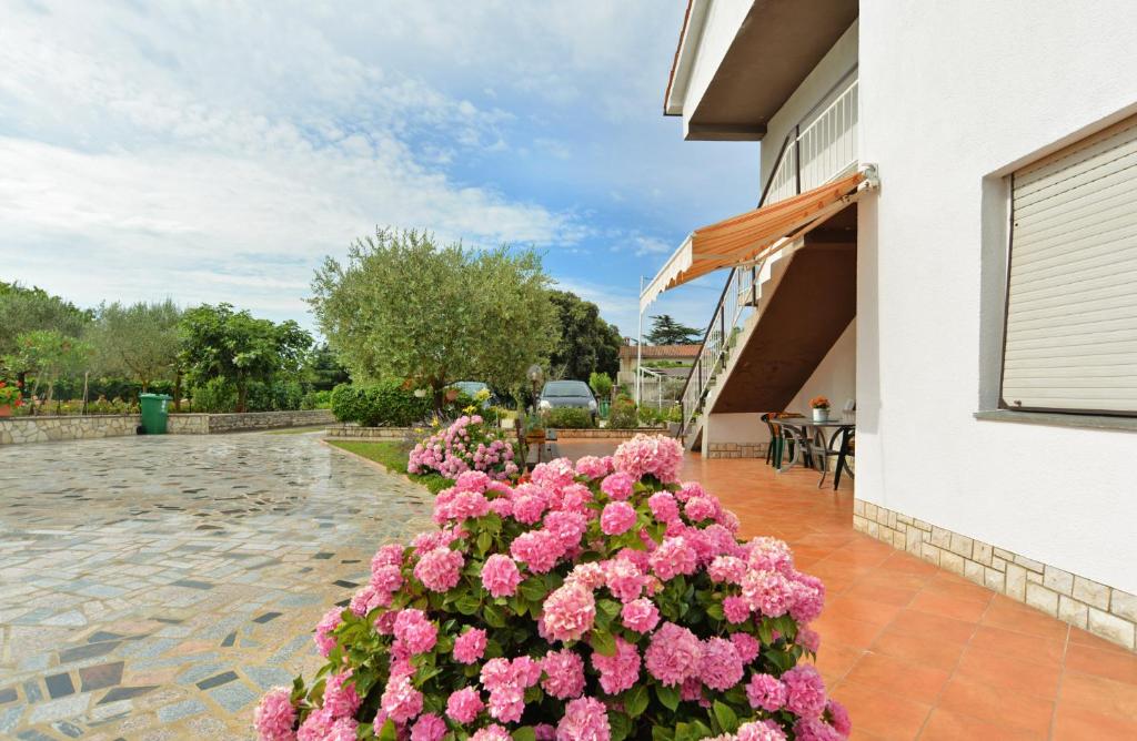 Zahrada ubytování Apartment & Room Tanja 1552
