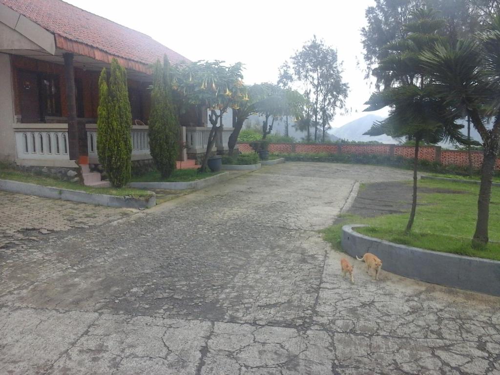 Okolí hotelu