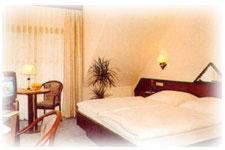 - une chambre avec un lit, une table et une chaise dans l'établissement Hotel am Gisselgrund, à Frankenhain