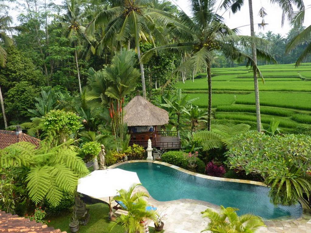 Villa Orchid Bali