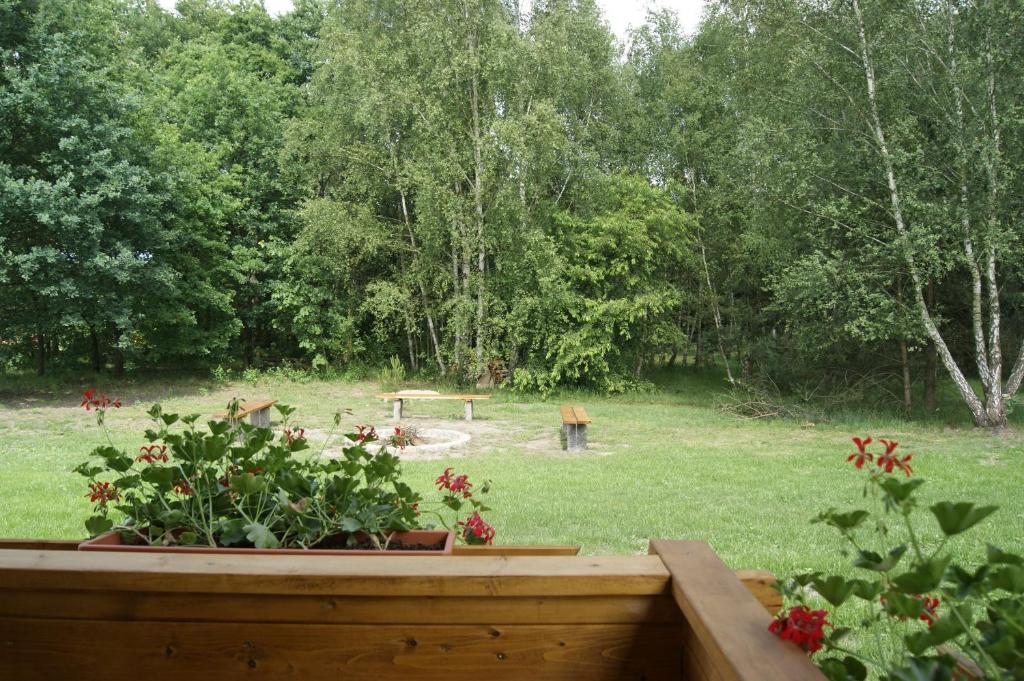 Zahrada ubytování Camping Family