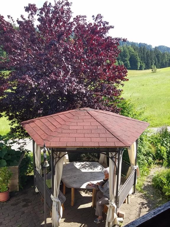 Zahrada ubytování Ferienwohnungen Pension Sonnblick