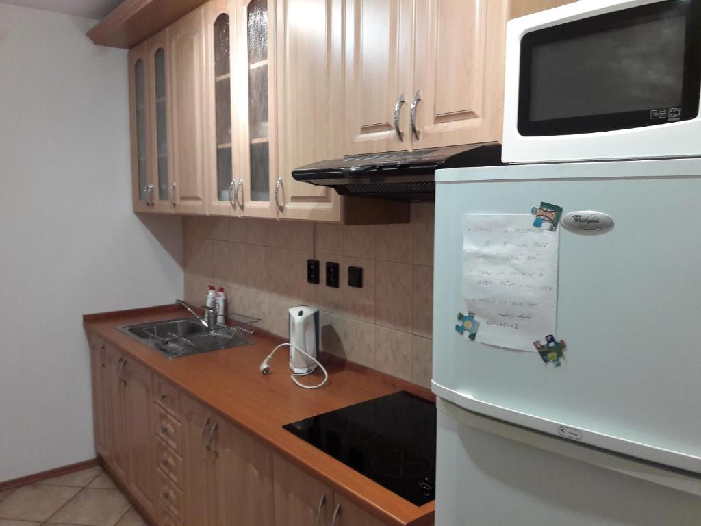 Kuchyň nebo kuchyňský kout v ubytování Guest House Zuzana