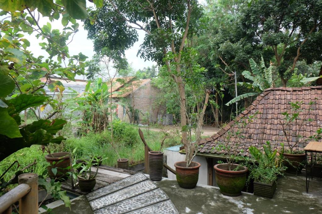 Zahrada ubytování Omah Kebon Nitiprayan