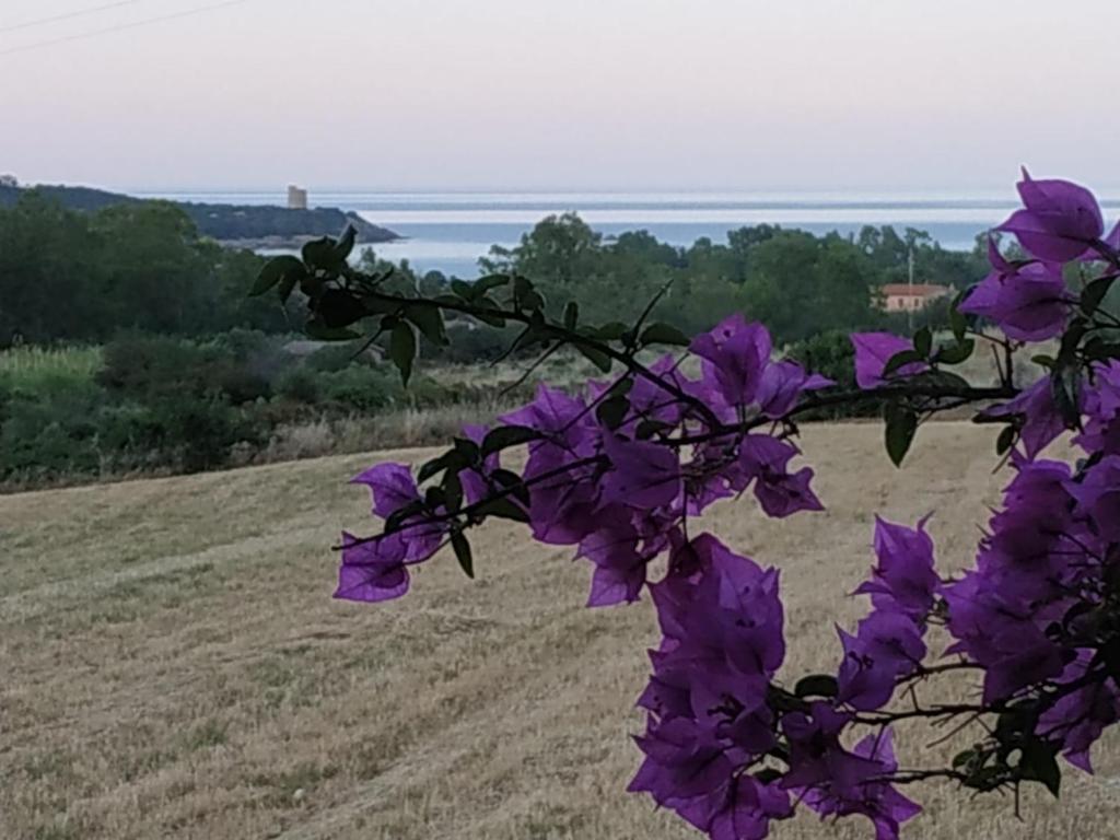 Príroda v okolí dovolenkového domu