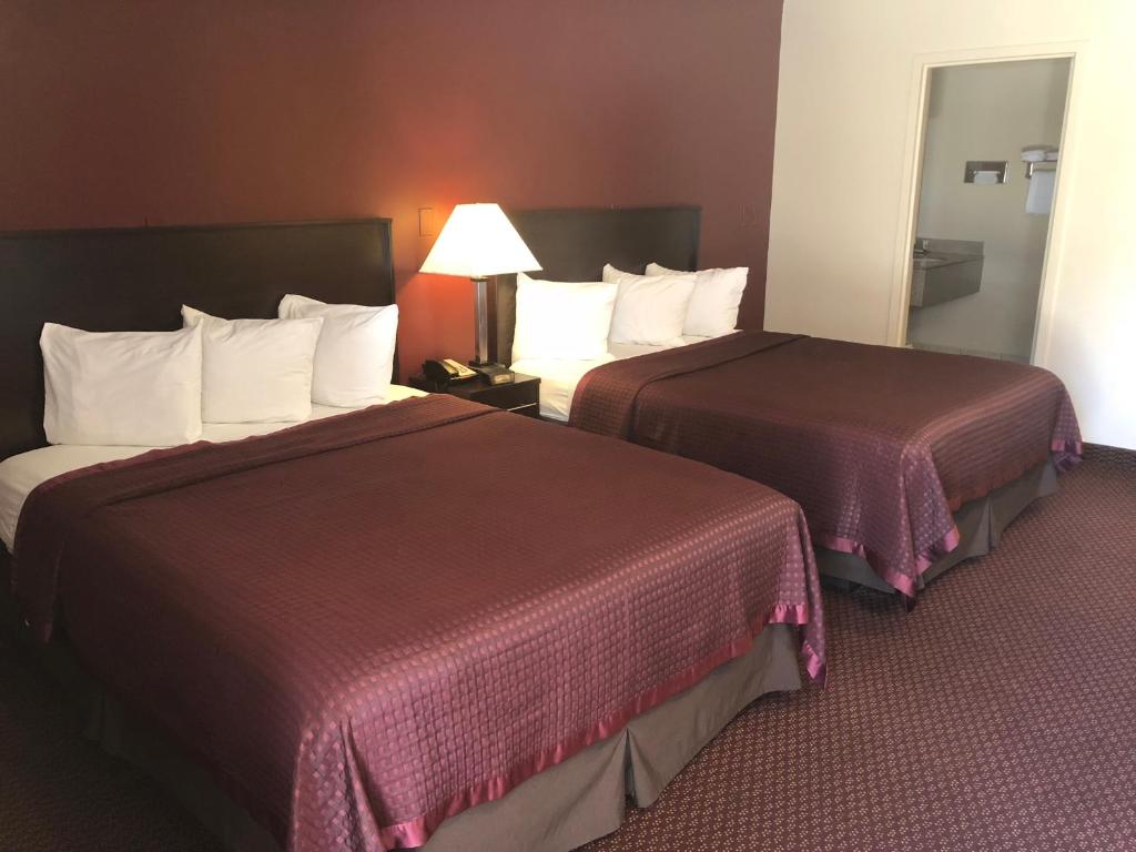 Regal Inn Chicago O'Hare - Franklin Park - 豪华皇后室和两个大床 - 不吸烟
