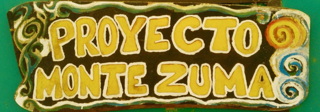 Fotografie z fotogalerie ubytování Luminosa Montezuma Hostel v destinaci Montezuma