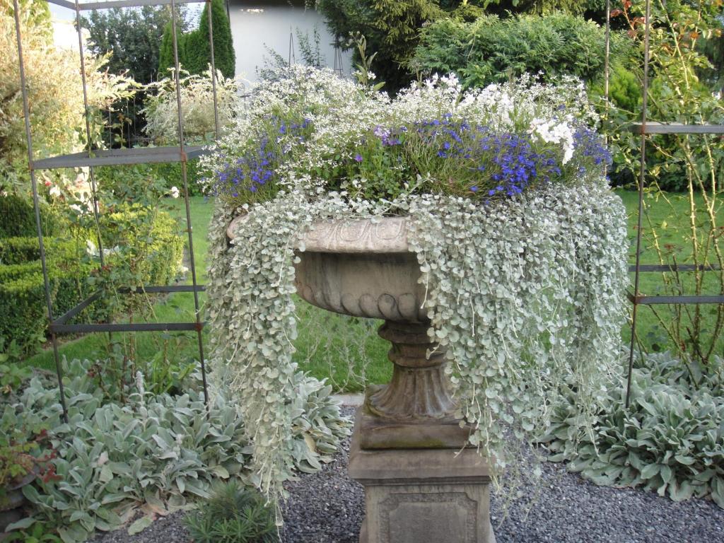 Zahrada ubytování Charming and cosy apartment near Lucerne