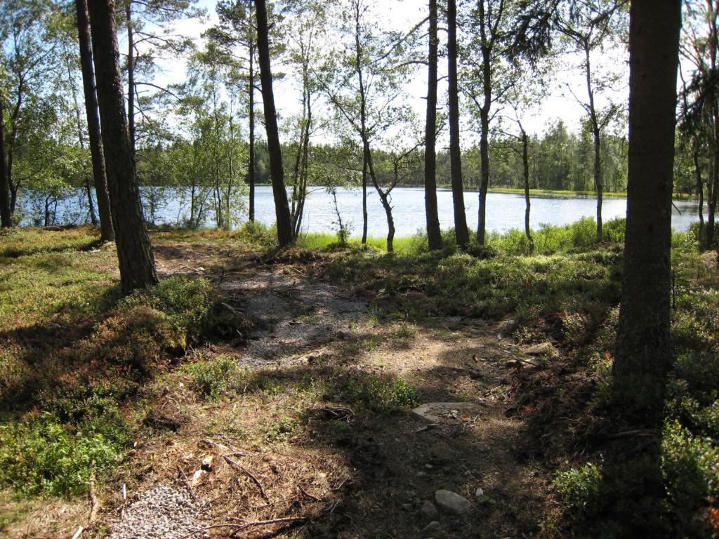 Příroda nedaleko apartmánu