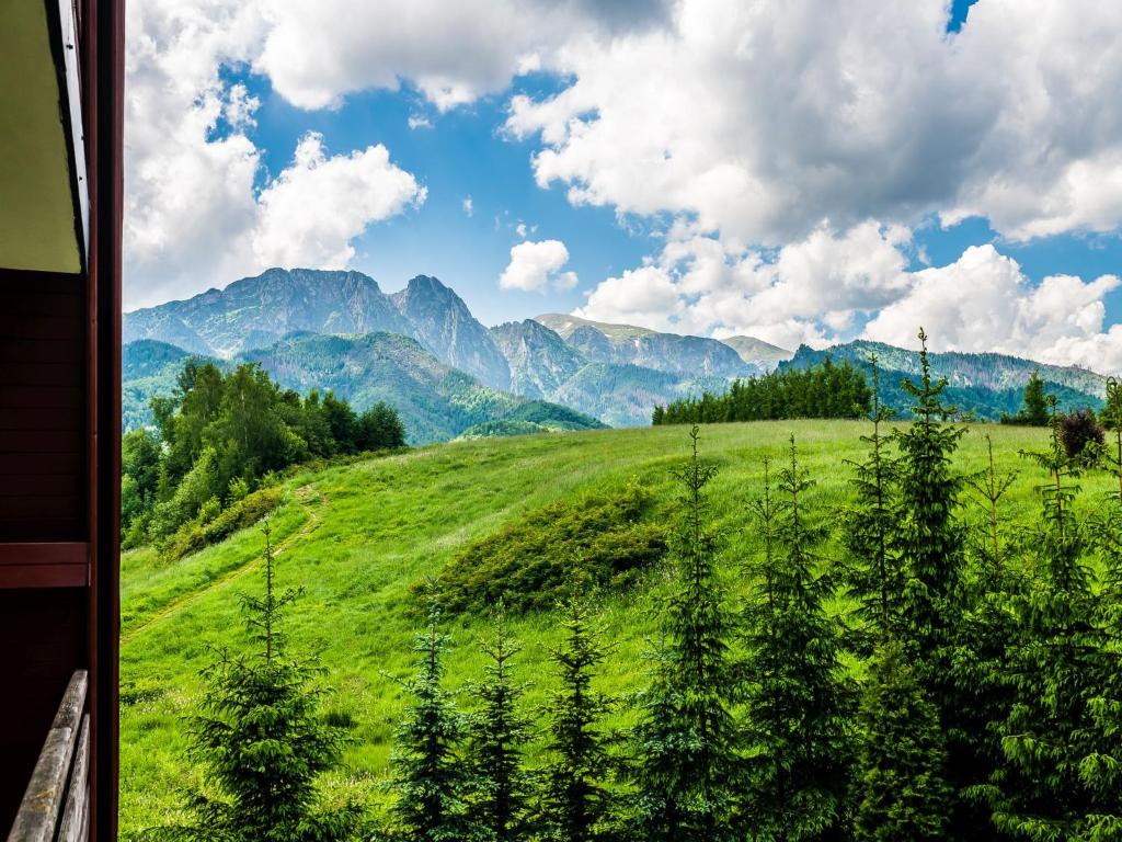 a view from a window of a green field with mountains at TatryTop Pod Lipkami in Zakopane