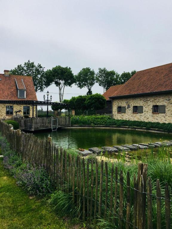 a pond in a yard next to two buildings at BB-hof ter boone in Kapelhoek