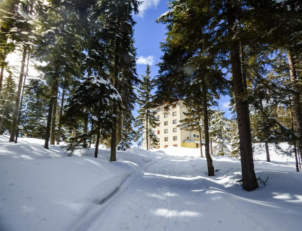 MOOKI Mountain & Pool Gerlitzen Apartment during the winter