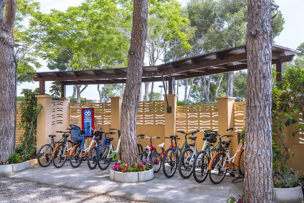 Jízda na kole v ubytování 4R Playa Park nebo okolí