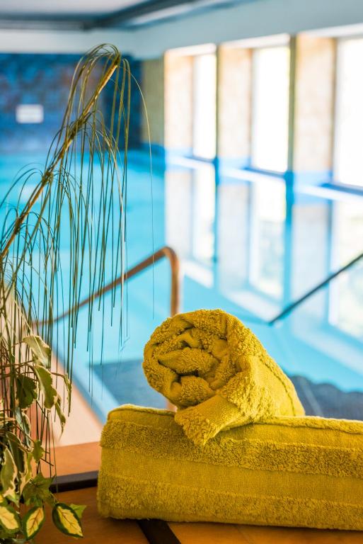 The swimming pool at or close to MOOKI Mountain & Pool Gerlitzen Apartment