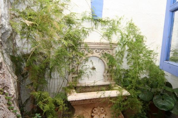 una pared cubierta de hiedra con una escalera de piedra delante de un edificio en Casa con encanto, escapadas románticas (jacuzzi), en Salobreña
