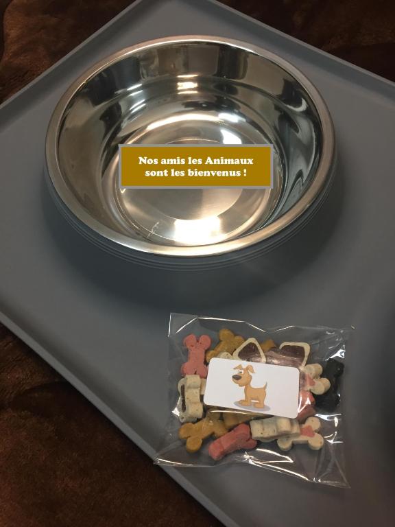 Hôtel Saphir Lyon - Resim 30