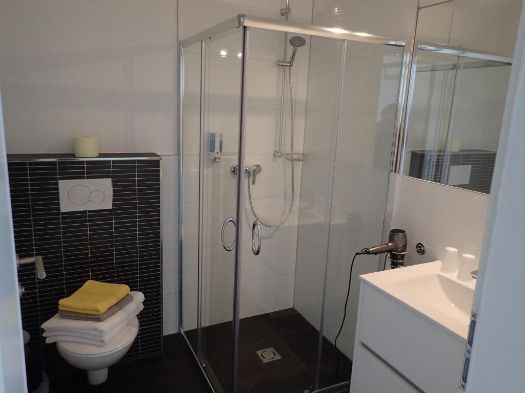 a bathroom with a shower and a toilet and a sink at Gasthof zum Postwirt in Predlitz