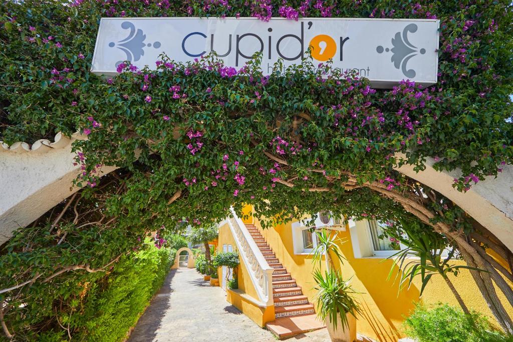Hotel Cupidor, Paguera – Updated 2023 Prices