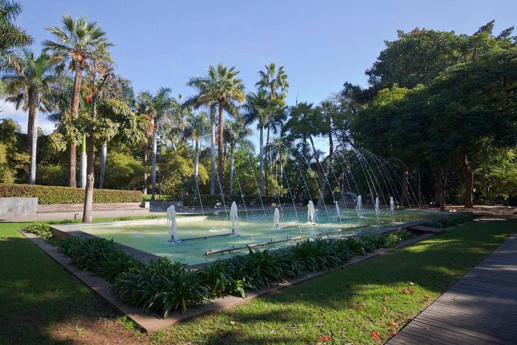 Fotografie z fotogalerie ubytování Santa Cruz Rambla v destinaci Santa Cruz de Tenerife